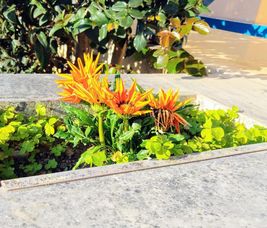 V-Apartments Tsoukalaiika Luaran gambar
